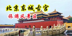 草女人的骚逼视频中国北京-东城古宫旅游风景区